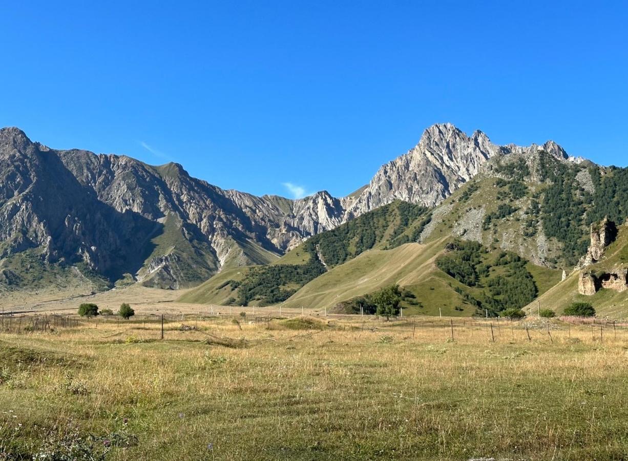 Alpine Escape Kazbegi Villa Buitenkant foto